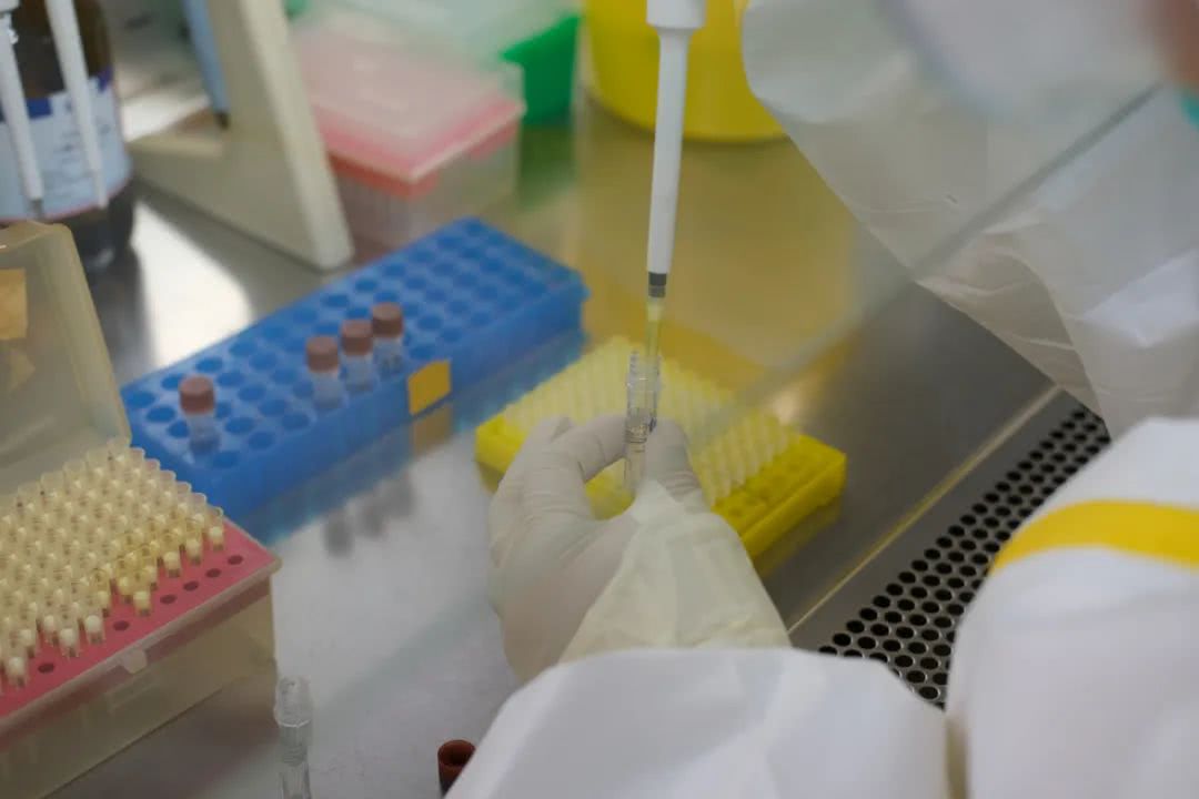 核酸檢測又降價！多地增設(shè)24小時檢測服務(wù)機構(gòu)